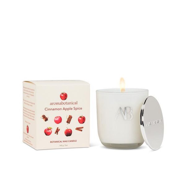 Cinnamon Apple Spice Small Candle