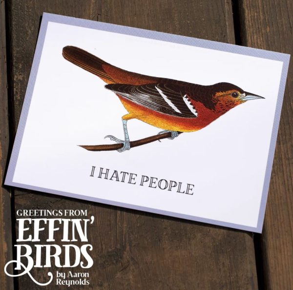 Greetings From Effin Birds card