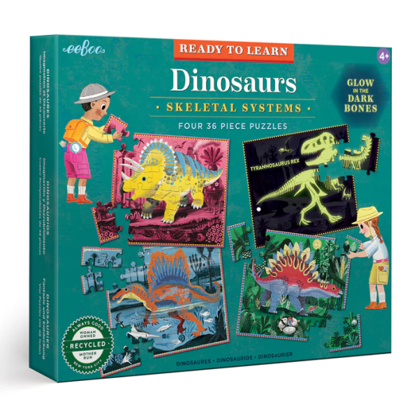 Ready to Learn Dinosaurs