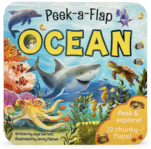Ocean Board Book Ocean Board Book