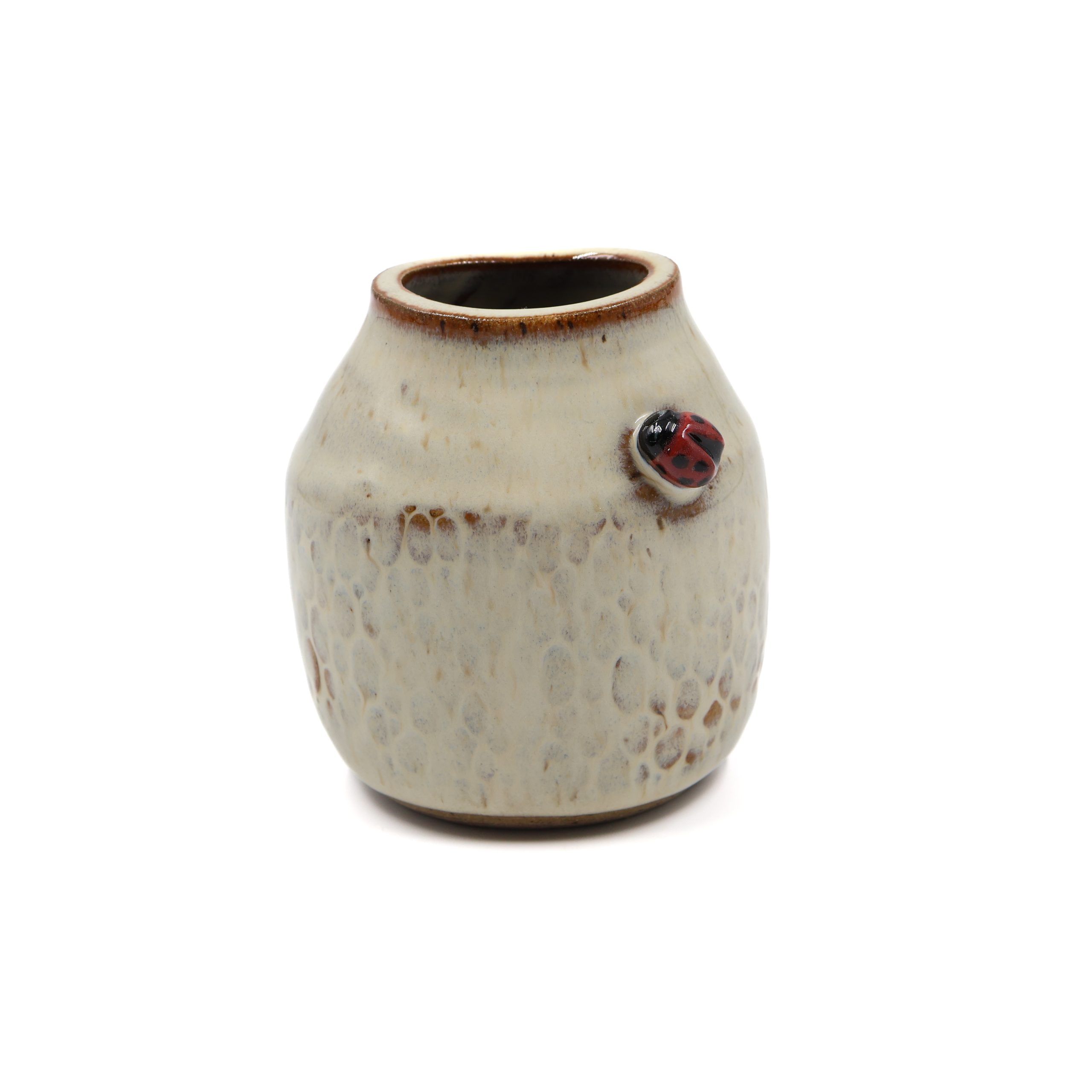 Ladybug Mini Vase Ladybug Mini Vase scaled