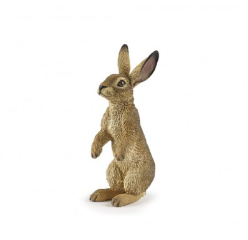 Standing Hare Standing Hare