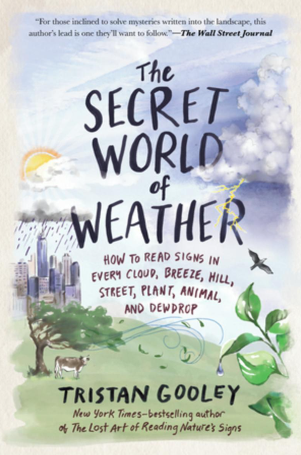 The Secret World of Weather The Secret World of Weather