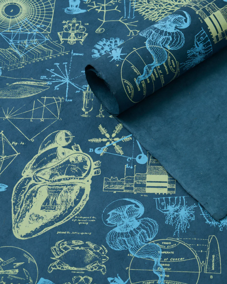 Interdisciplinary Science Wrap Interdisciplinary Science Wrap