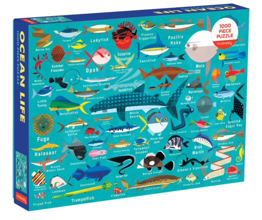 Ocean Life Puzzle Ocean Life Puzzle