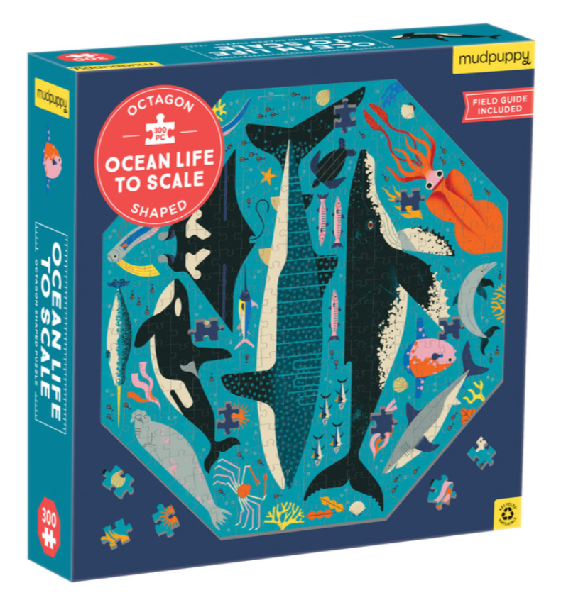 Ocean Life to Scale Ocean Life to Scale