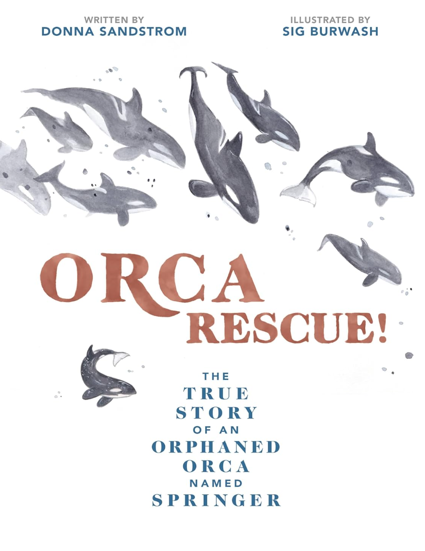 Orca Rescue Orca Rescue
