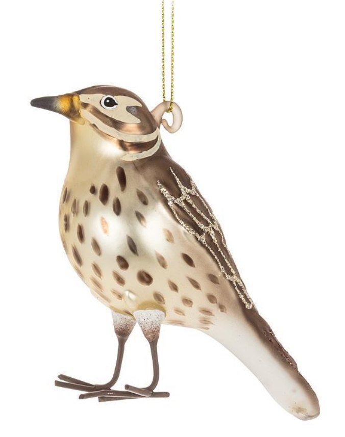 Song Thrush Song Thrush