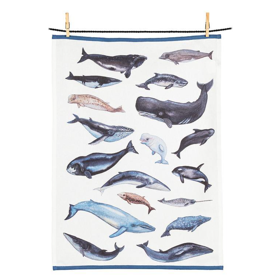 Whales Tea Towel Whales Tea Towel