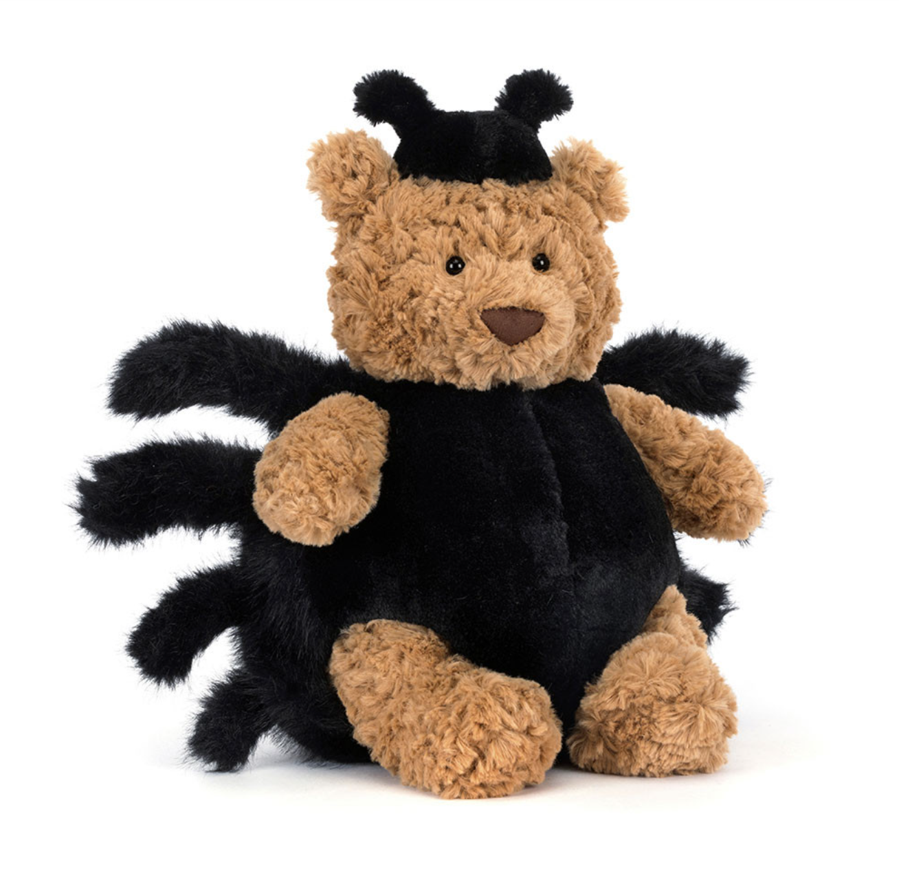 Bartholomew Bear Spider Bartholomew Bear Spider