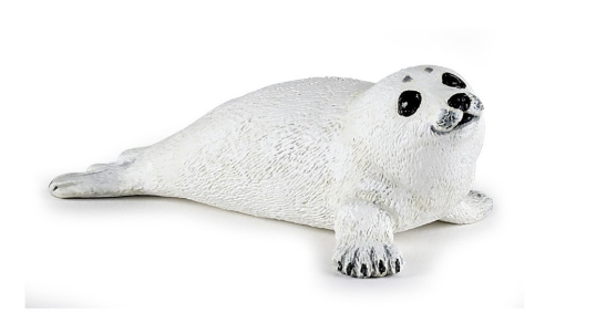 Baby Seal Baby Seal