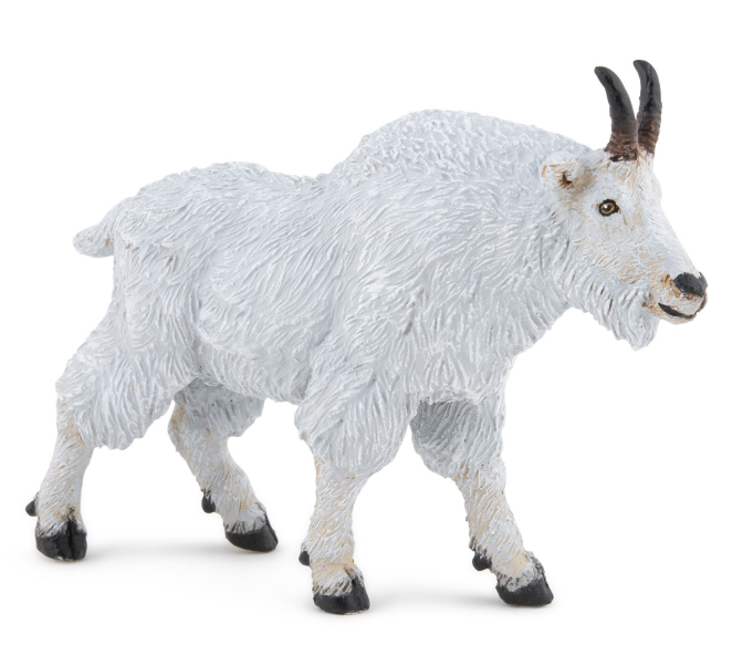 Canadian Goat Canadian Goat