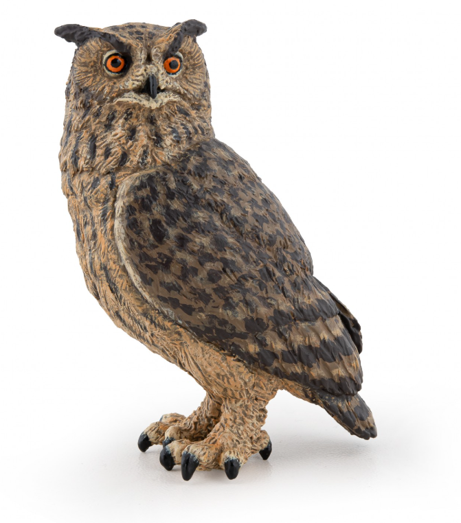 Great Horned Owl Great Horned Owl