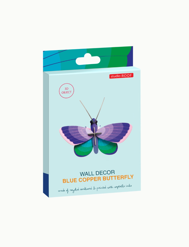 Blue Butterfly Blue Butterfly