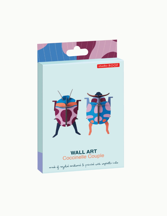 Coccinelle Coccinelle