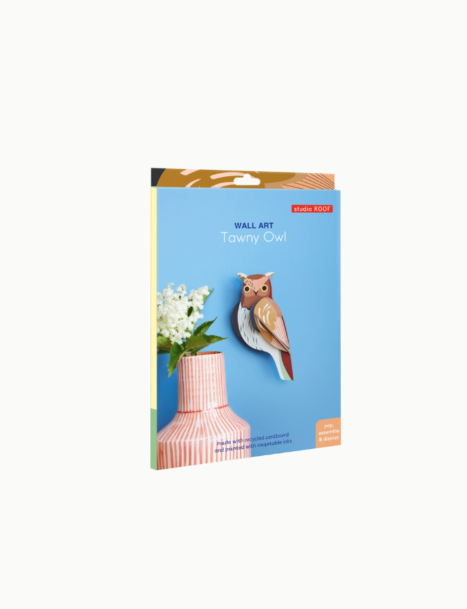 Tawny Owl 1 Tawny Owl 1