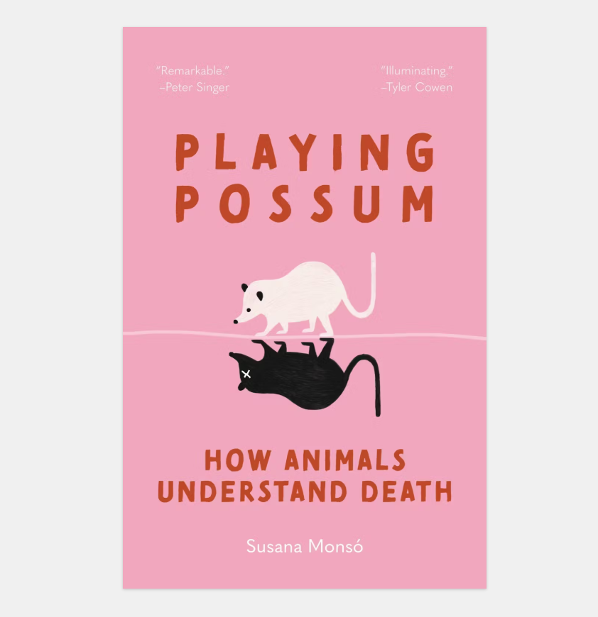 Playing Possum Playing Possum