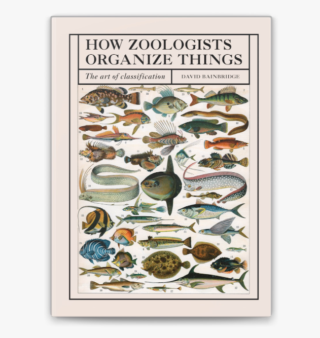 how zoologists organize things how zoologists organize things 1