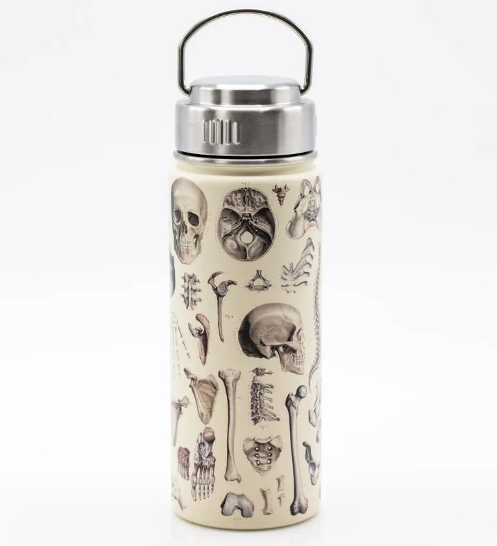 Skeleton Steel Bottle Skeleton Steel Bottle