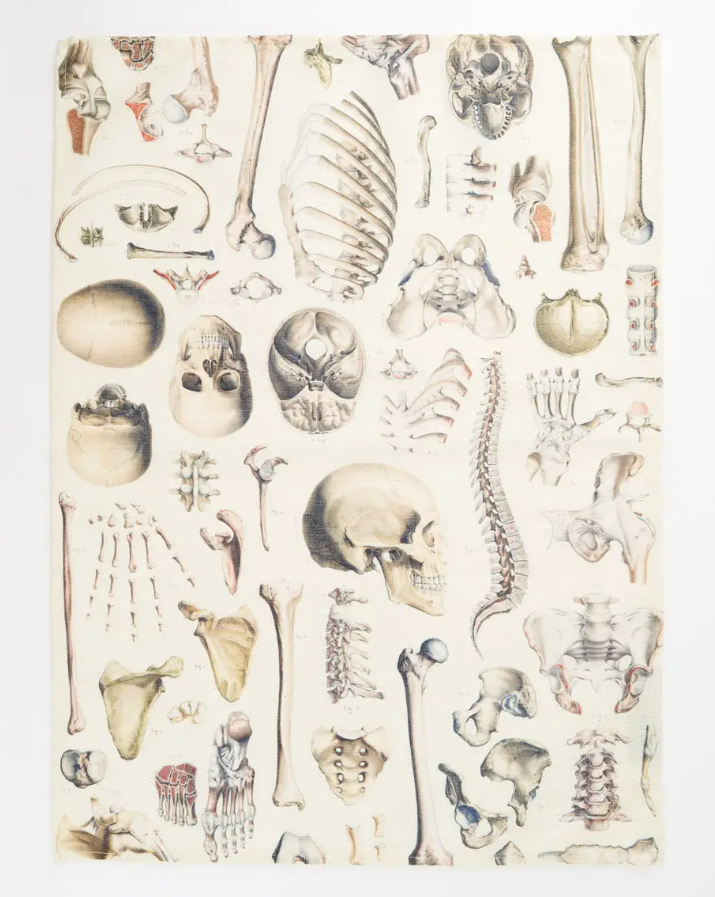 Skeleton Tea Towel Skeleton Tea Towel