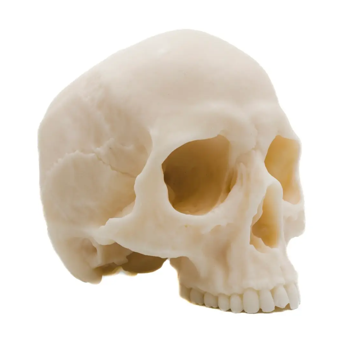 White Human Half Skull Candle White Human Half Skull Candle