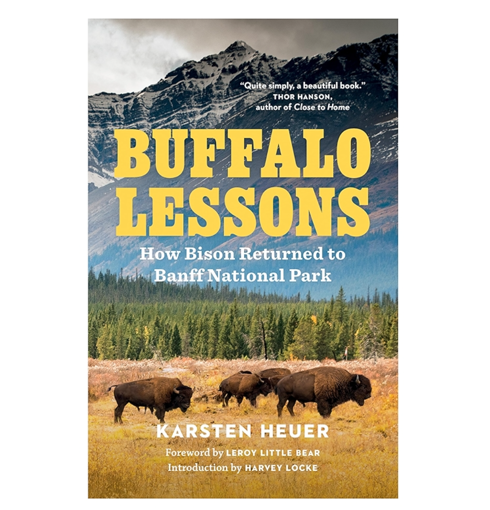 Buffalo Lessons Buffalo Lessons