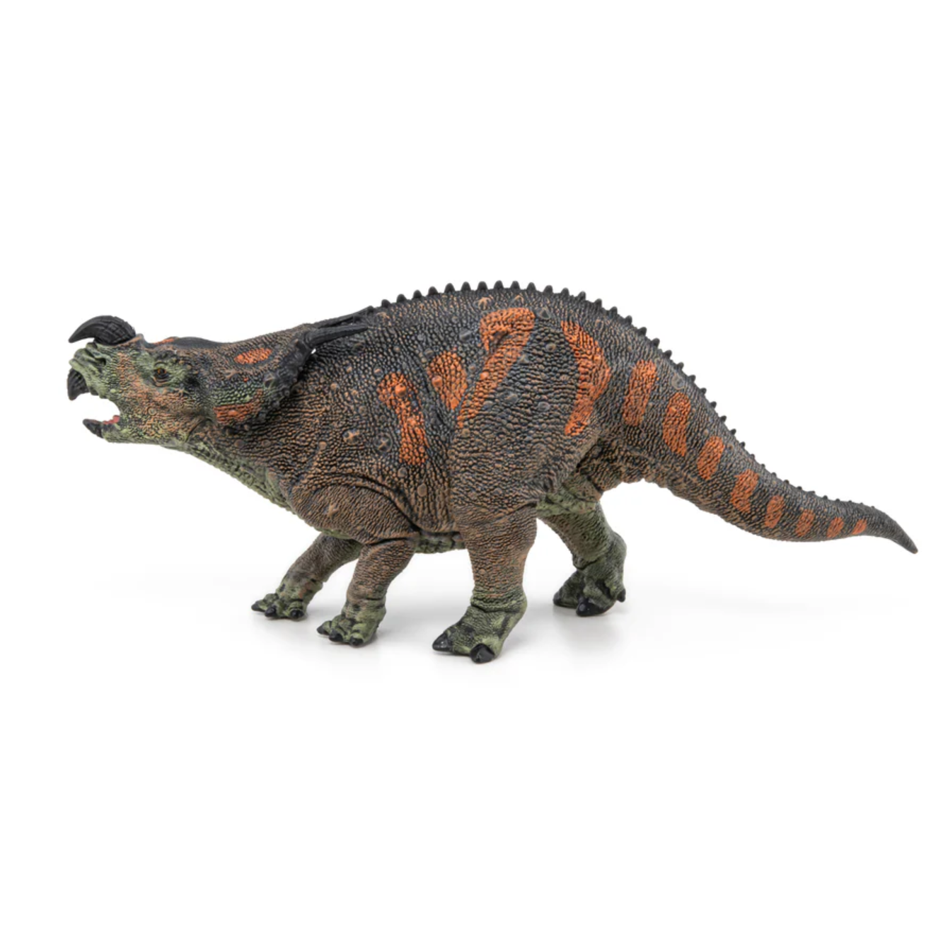 Einiosaurus Einiosaurus