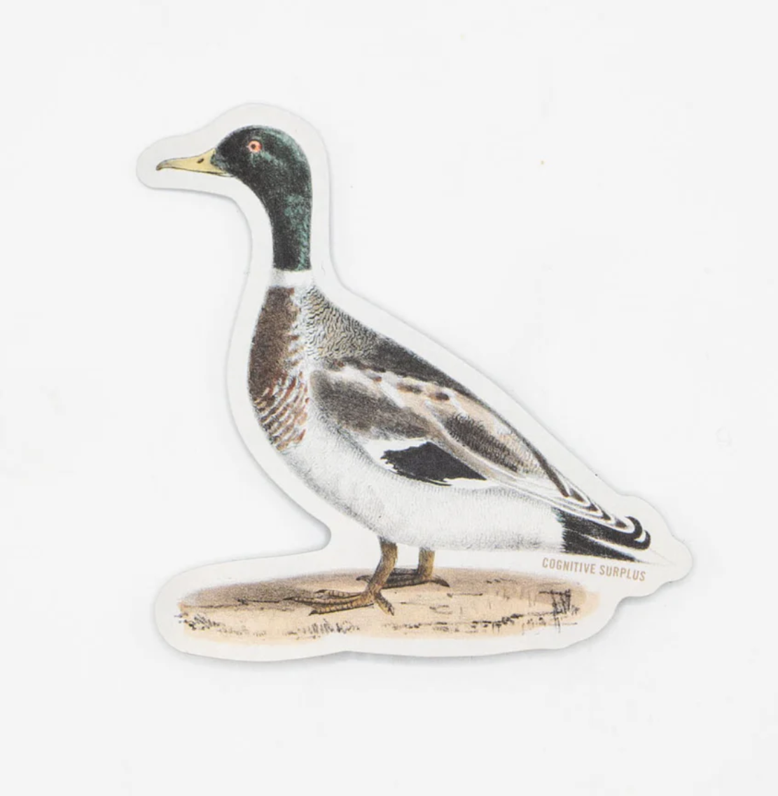 Mallard Sticker Mallard Sticker