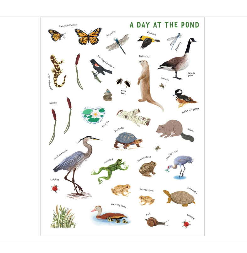 Nature Adventure Stickers 1 Nature Adventure Stickers 1
