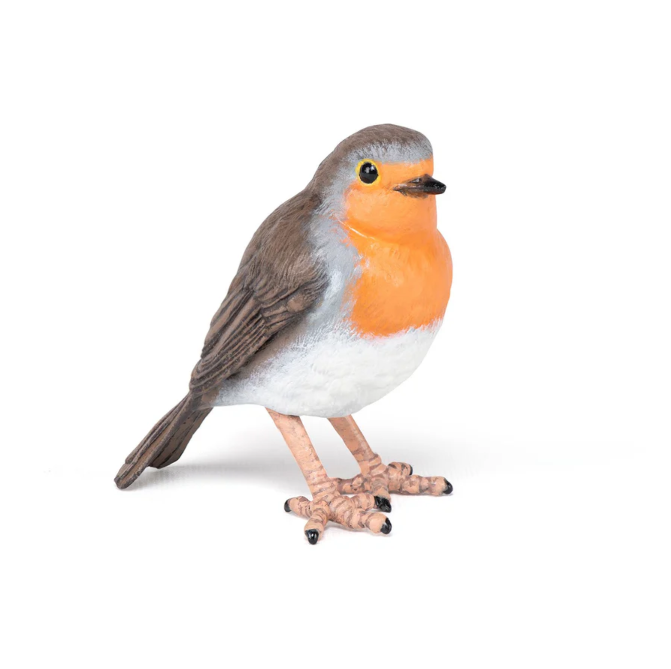 Robin Robin