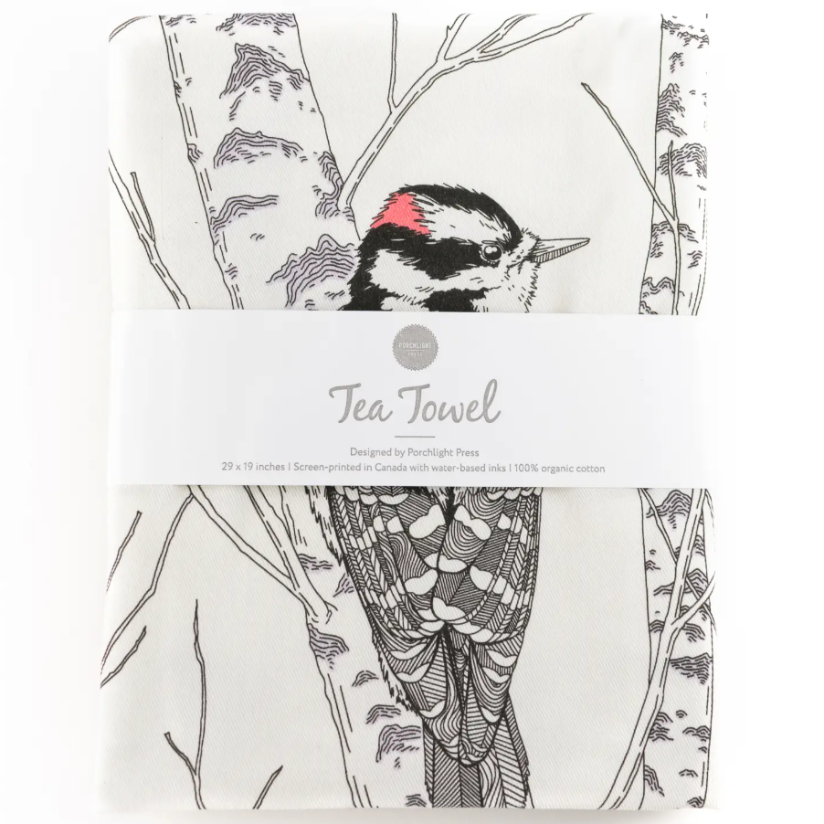 Downy Woodpecker TT Downy Woodpecker TT