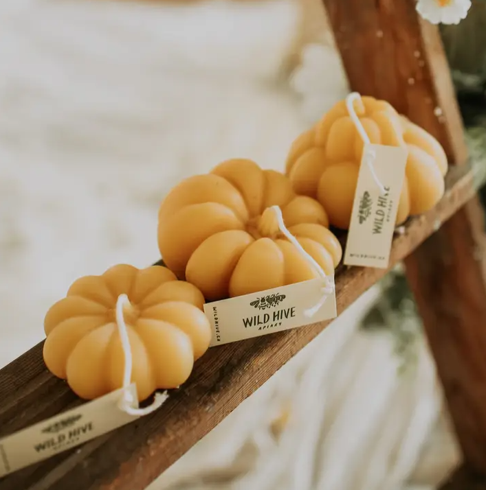 Pumpkin Candle Collection Pumpkin Candle Collection